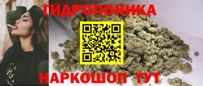 эйфоретик Кимры