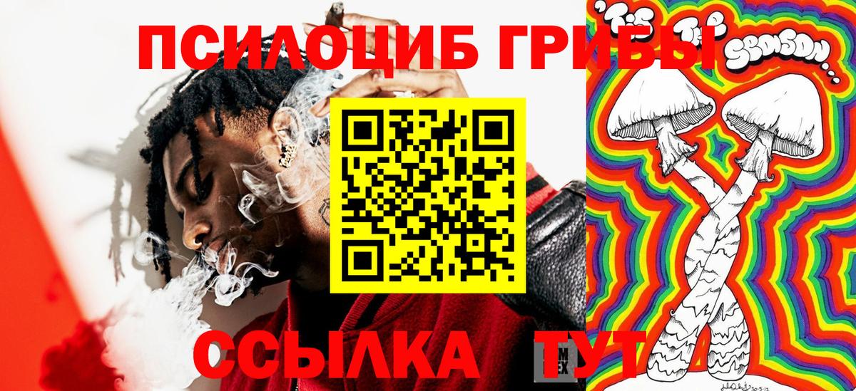 Псилоцибиновые грибы Psilocybine cubensis Котовск